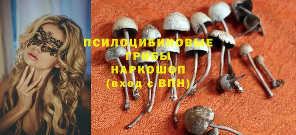 прущие крисы Гусиноозёрск
