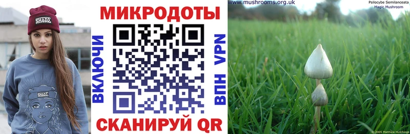 Галлюциногенные грибы Psilocybine cubensis  Воскресенск 